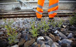 Mauvaises herbes sur des voies avec les jambes d’un employé des CFF